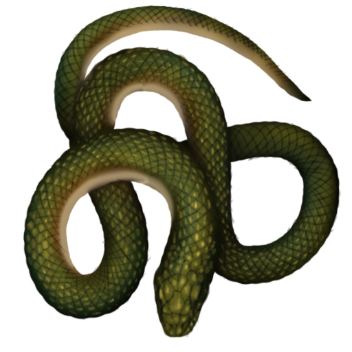 animal_giant_snake_a_05